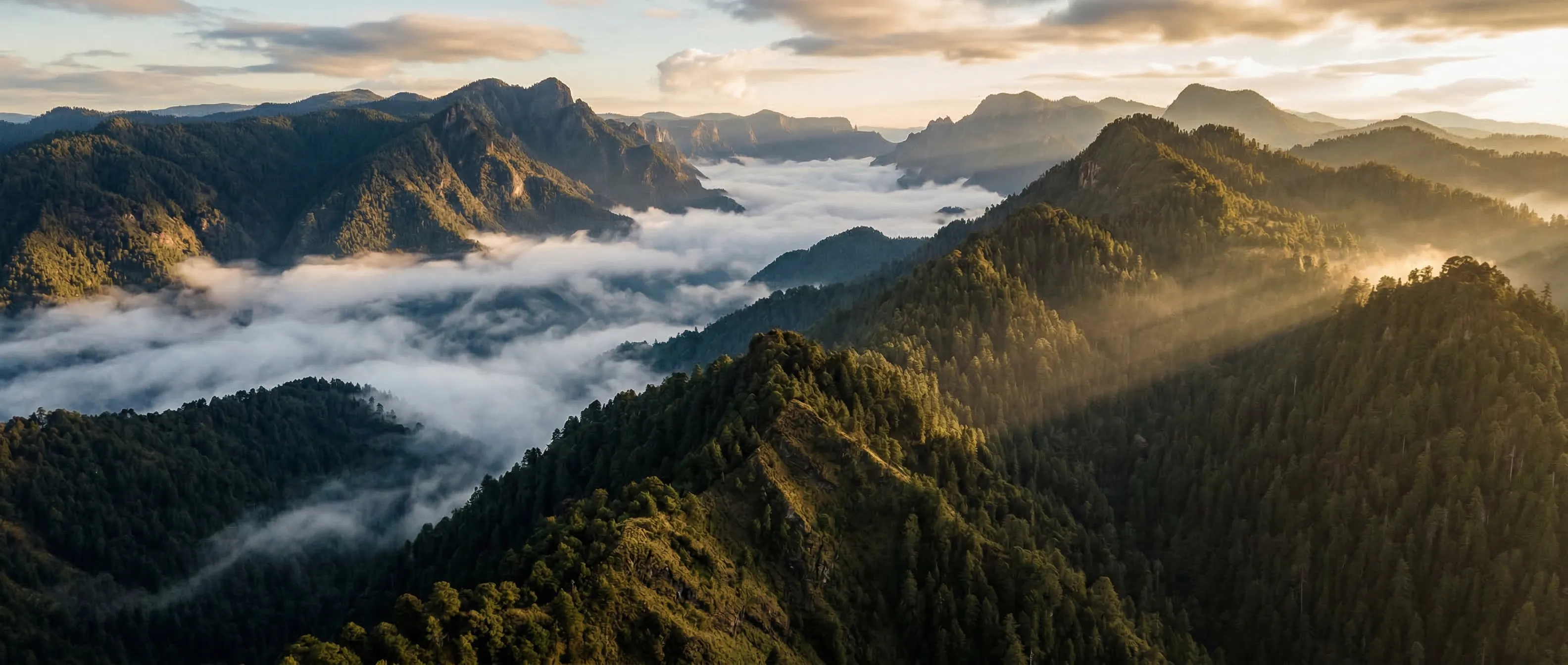 Bosque de Santa Rosa Xochiac